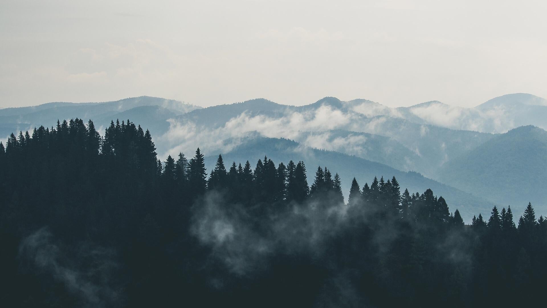 Sabes fazer compostagem? Aprende como começar.